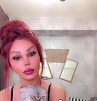 Maya Arabic shemale مايا شيميل عربية - Transsexual escort in İstanbul