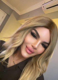 Maya Bal (20 cm XL) - Transsexual escort in İstanbul Photo 23 of 30