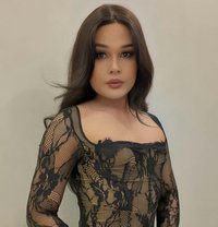 Maya Both 69 Jeddah - Transsexual escort in Jeddah