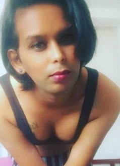 Maya cam sessions 🥰 - Acompañantes transexual in Colombo Photo 11 of 13