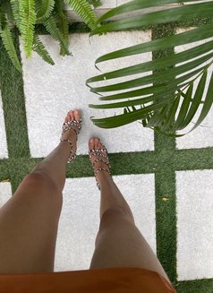 Maya - puta in Dubai Photo 6 of 6