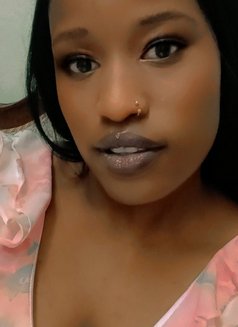 Maya Escorts - escort in Khobar Photo 1 of 6
