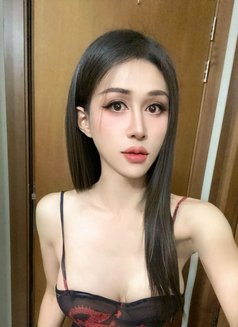 Maya Hot Ts 🩸🩸 Full services - Transsexual escort in Dubai Photo 13 of 17