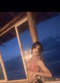 Maya - Transsexual escort in Candolim, Goa Photo 8 of 8
