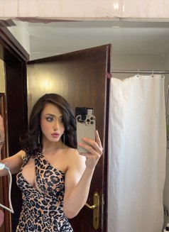 Maya - Transsexual escort in Amman Photo 10 of 11
