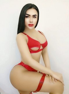 Maya(LADYBOY Both) VIP 🇴🇲 - Transsexual escort in Muscat Photo 22 of 23