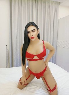 Maya(LADYBOY Both) VIP 🇴🇲 - Transsexual escort in Muscat Photo 23 of 23