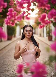 Maya(LADYBOY Both) VIP 🇴🇲 - Transsexual escort in Muscat Photo 3 of 27