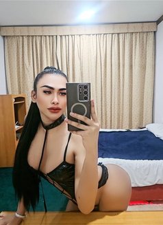 Maya(LADYBOY Both) VIP 🇴🇲 - Acompañantes transexual in Şalālah Photo 19 of 19