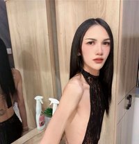 Maya Ladyboy - Transsexual escort in Riyadh