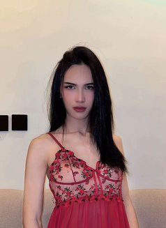 Maya Ladyboy - Transsexual escort in Riyadh Photo 2 of 6