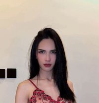 Maya Ladyboy - Transsexual escort in Riyadh