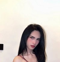 Maya Ladyboy - Transsexual escort in Riyadh