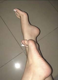 Maya - escort in Beirut Photo 1 of 7