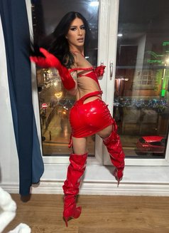 Maya Brazilian XL - Transsexual escort in Dubai Photo 20 of 26