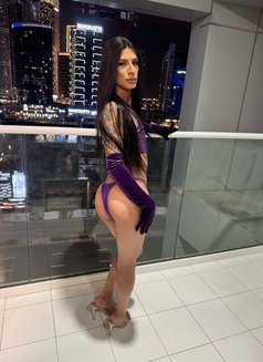 Maya Brazilian XL - Transsexual escort in Dubai Photo 21 of 26