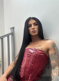 Maya Mariah Xl - Transsexual escort in Dubai Photo 1 of 1