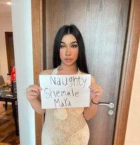 Maya Shemale good top & bottom - Acompañantes transexual in Dubai