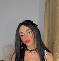 Maya - Acompañantes transexual in Beirut