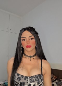 Maya - Transsexual escort in Beirut Photo 12 of 17