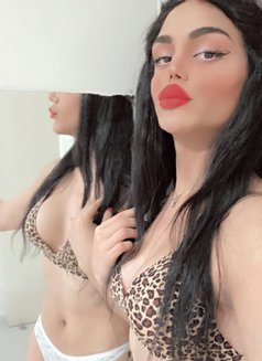 Maya - Transsexual escort in Beirut Photo 13 of 17
