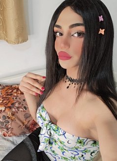 Maya - Acompañantes transexual in Beirut Photo 18 of 20