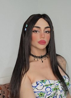 Maya - Acompañantes transexual in Beirut Photo 19 of 20
