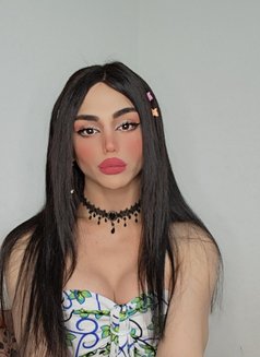 Maya - Acompañantes transexual in Beirut Photo 20 of 20