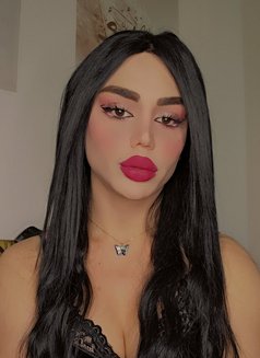Maya - Acompañantes transexual in Beirut Photo 18 of 20
