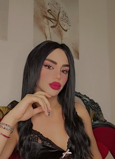 Maya - Acompañantes transexual in Beirut Photo 20 of 20