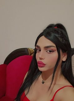 Maya - Acompañantes transexual in Beirut Photo 18 of 21