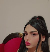 Maya - Transsexual escort in Beirut