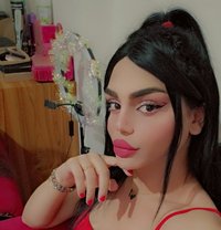 Maya - Transsexual escort in Beirut