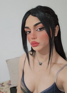 Maya - Acompañantes transexual in Beirut Photo 20 of 21