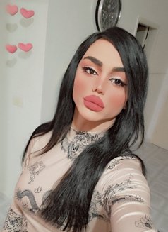 Maya - Acompañantes transexual in Beirut Photo 21 of 21