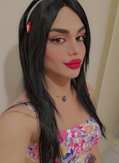 Maya - Transsexual escort in Beirut Photo 25 of 29