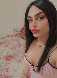 Maya - Transsexual escort in Beirut Photo 29 of 29