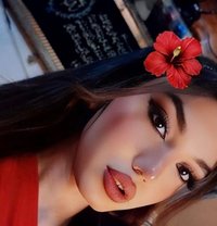 Maya - Transsexual escort in Damascus