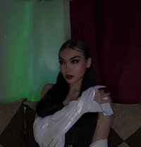 Maya Tartous - Transsexual escort in Damascus