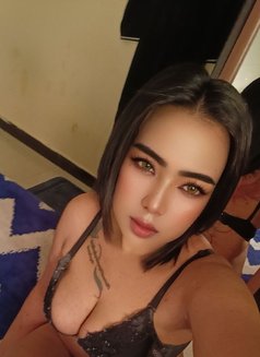 Maya - escort in Muscat Photo 5 of 6