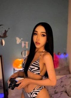 Maya Shemale good top & bottom - Acompañantes transexual in Dubai Photo 16 of 16