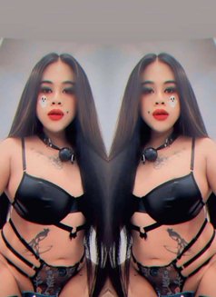 Maya - Transsexual escort in İstanbul Photo 15 of 19