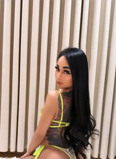 Maya - Transsexual escort in Jeddah Photo 12 of 12