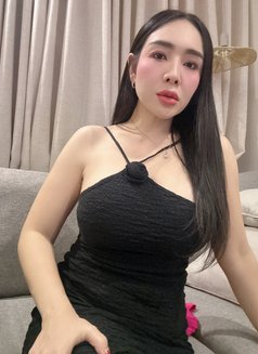 🇹🇭 Maya Thai Girl New Riyadh (New 🇸🇦 - puta in Riyadh Photo 1 of 14