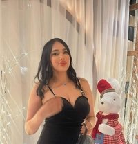 Maya VIP Models - escort agency in Dubai