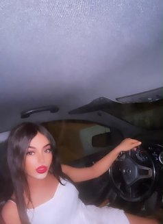 Maya yakhour - Transsexual escort in Tunis Photo 9 of 9