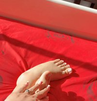 Maya1 - Acompañantes transexual in Beirut