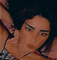 Mayaa - Transsexual escort in Beirut