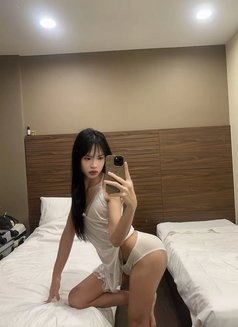 Mayami - Acompañantes transexual in Singapore Photo 1 of 23