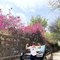 Mayank_Premium Gurgao - Male escort in Gurgaon